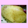Yukon Gold potato