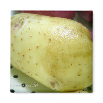 Yukon Gold potato magnets by JeanC_PurpleDucky Yukon Gold potato magnets