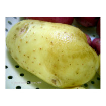Yukon Gold potato posters