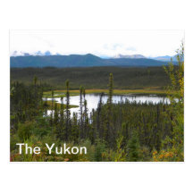 Yukon Pond Post Cards