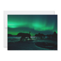 Yukon Quest Magic Invitation