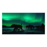 Yukon Quest Magic Photo Card