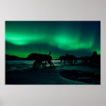 Yukon Quest Magic posters