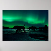 Yukon Quest Magic Print
