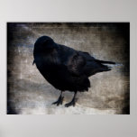 Yukon Raven Grunge posters