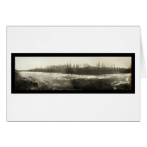 Yukon White Horse Photo 1899 cards by lc_panoramicphotos Yukon White Horse Photo 1899 cards