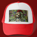 Yule Puppy Hat hats