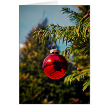 Yuletide aesthetics cards