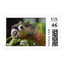 yum postage by aireekahyo yum postage