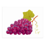 Yummy Bunch Of Red Grapes Post Cards