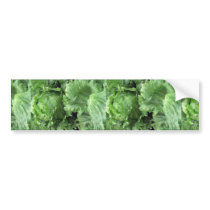 Yummy Iceberg lettuce Bumper Stickers