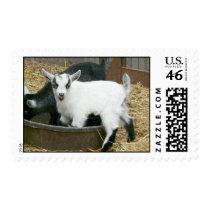 Yummy postage by slaxelson Yummy postage