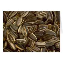Yummy Sunflower seeds Cards
