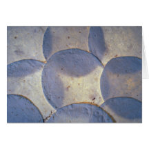 Yummy Tortilla shells Cards