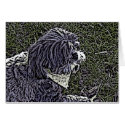 yumyum woodcut cards