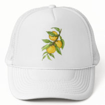 Yuzu Collection hats by Szubogi Yuzu Collection hats