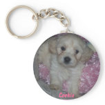 Yvonnes Cam Pics 06 058, Cookie Key Chains