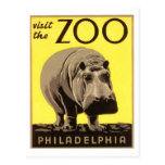 Z00 - Hippo Post Cards