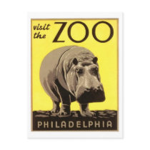 Z00 - Hippo Post Cards