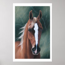 Z portrait posters