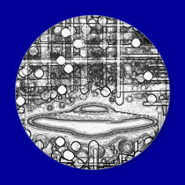 Zaade 12 Flying Saucer magnets by 3DMOONMAN Zaade 12 Flying Saucer magnets