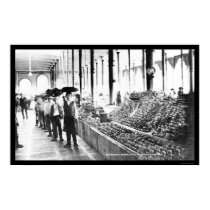 Zacatecas, Mexico Food Market 1904 posters
