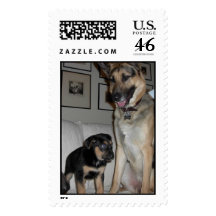 Zach & Zorro Postage Stamps