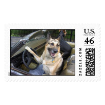 Zach & Zorro Stamp