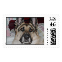 ZACHARY postage