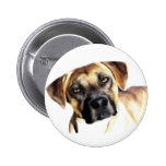 Zack Button