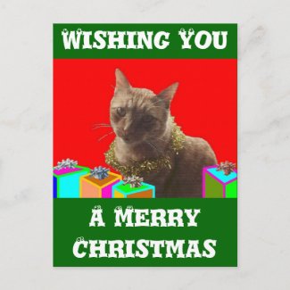 Zack The Xmas Cat postcard