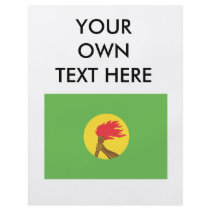 Zaire Flag Flyers