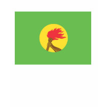 Zaire Flag t-shirts by flagshirts Zaire Flag t-shirts