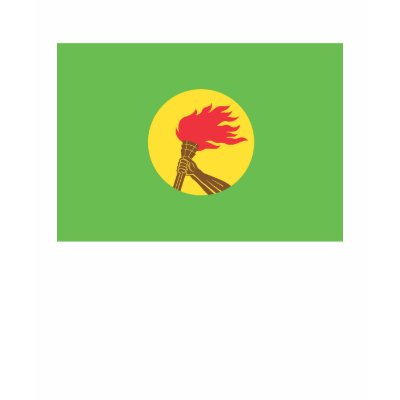 Zaire Flag T Shirt by flagshirts