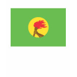 Zaire Flag t-shirts