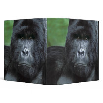 Zaire, Virungas National Park. Portrait of Binders