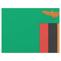 Zambia Flag flyers by flagshirts Zambia Flag flyers