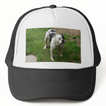 Zane - American Bulldog! Trucker Hat