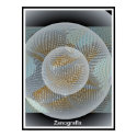 zanografix posters by tjames zanografix posters