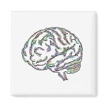 Zany Brainy Magnets