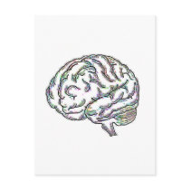 Zany Brainy Postcard
