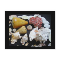 Zanzibar shells postcards by tjorras Zanzibar shells postcards