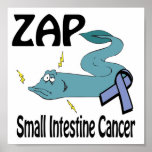 ZAP Small Intestine Cancer posters