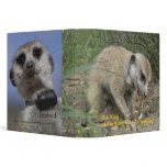 Zaphod 11th birthday binder