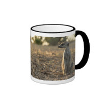 Zaphod 12th Birthday Mug mugs
