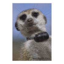 Zaphod - King of the Kalahari Poster posters