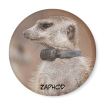 Zaphod Magnet magnets