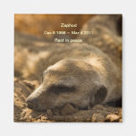 Zaphod_Rest en imán de la paz