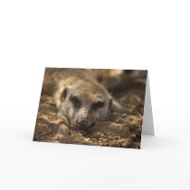 Zaphod's 12th Birthday Card 4 cards