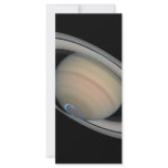 ZAZ277 RACK CARDS